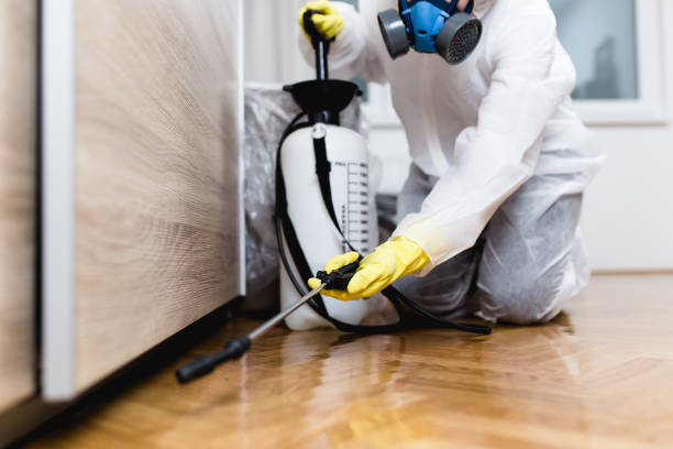 Best Emergency Pest Control  in Valencia, NM