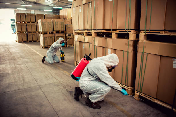 Best Wasp Removal Services  in Valencia, NM