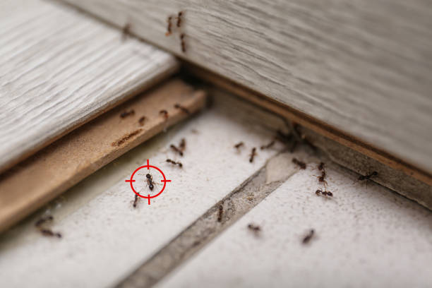 Valencia, NM Pest Control Company