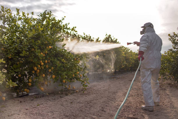 Best Pest Control Near Me  in Valencia, NM