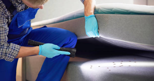 Trusted Valencia, NM Pest Control Experts