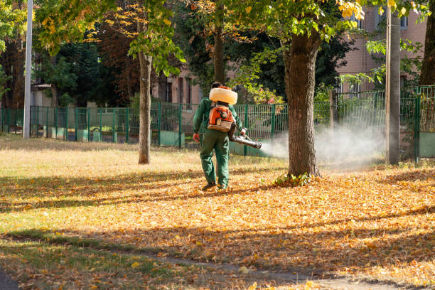 Best Wasp Removal Services  in Valencia, NM