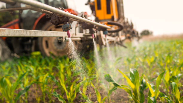Best Pest Removal Services  in Valencia, NM